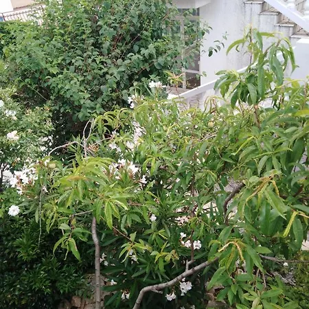 Apartman Marijana Novi Vinodolski Exterior foto